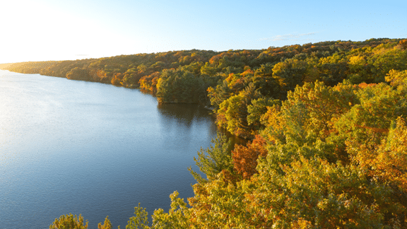Tranquil Lake and fall foliage trees